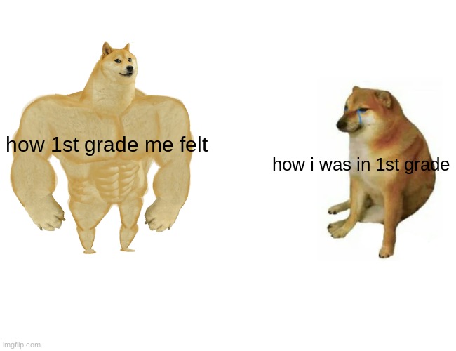 Buff Doge vs. Cheems | how 1st grade me felt; how i was in 1st grade | image tagged in memes,buff doge vs cheems | made w/ Imgflip meme maker