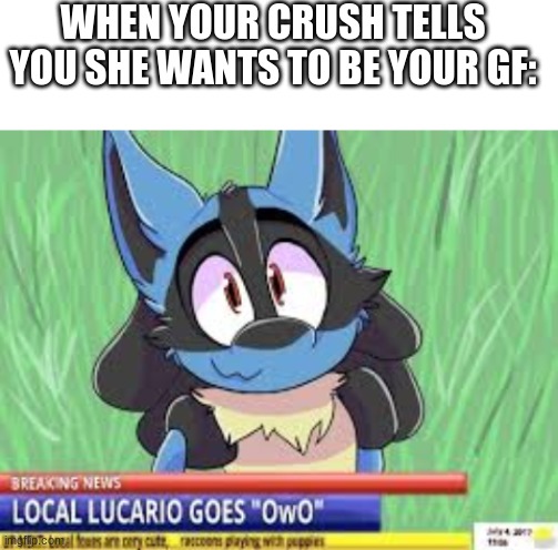 OwO | WHEN YOUR CRUSH TELLS YOU SHE WANTS TO BE YOUR GF: | image tagged in blank white template,furry | made w/ Imgflip meme maker