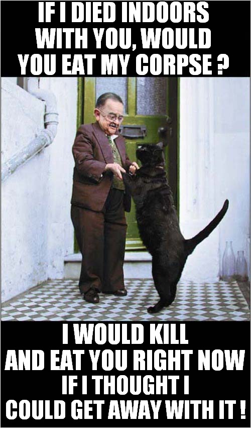Henry Behren Dancing With His Evil Cat | IF I DIED INDOORS WITH YOU, WOULD YOU EAT MY CORPSE ? I WOULD KILL AND EAT YOU RIGHT NOW; IF I THOUGHT I COULD GET AWAY WITH IT ! | image tagged in died,eating,evil cat,dark humour | made w/ Imgflip meme maker