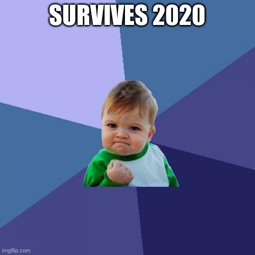 The memes are coming | SURVIVES 2020 | image tagged in memes,success kid | made w/ Imgflip meme maker