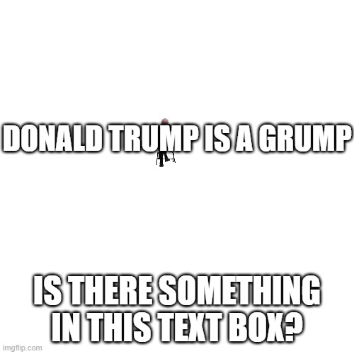 what do you see in this text box? | DONALD TRUMP IS A GRUMP; IS THERE SOMETHING IN THIS TEXT BOX? | image tagged in memes,blank transparent square | made w/ Imgflip meme maker