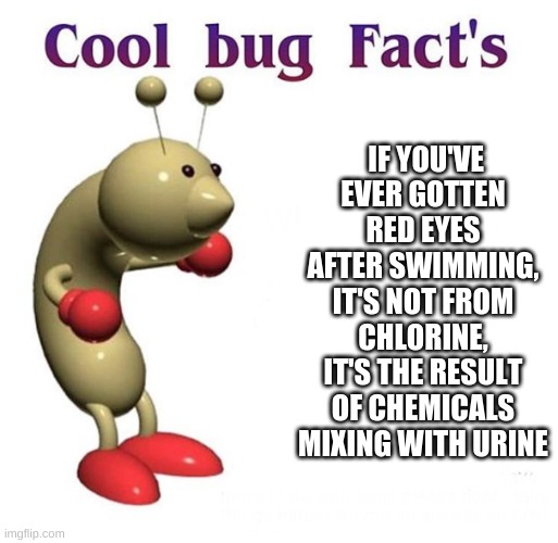 Cool Bug Facts | IF YOU'VE EVER GOTTEN RED EYES AFTER SWIMMING, IT'S NOT FROM CHLORINE, IT'S THE RESULT OF CHEMICALS MIXING WITH URINE | image tagged in cool bug facts | made w/ Imgflip meme maker