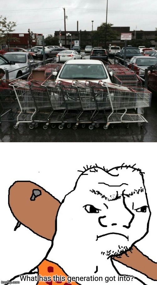 Shopping carts around the car | image tagged in what has this generation got into,you had one job,cars,shopping cart,memes,meme | made w/ Imgflip meme maker