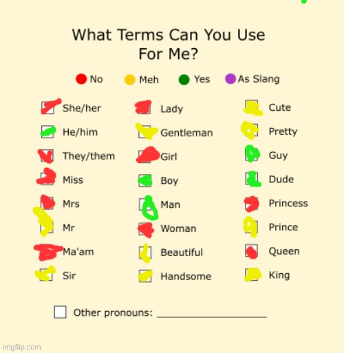 Pronouns Sheet | image tagged in pronouns sheet | made w/ Imgflip meme maker