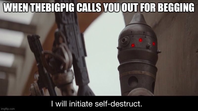 Fun! | WHEN THEBIGPIG CALLS YOU OUT FOR BEGGING | image tagged in i will initiate self-destruct,funny,memes,thebigpig | made w/ Imgflip meme maker
