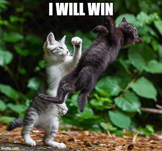 wining cat | I WILL WIN | image tagged in mortal kombat | made w/ Imgflip meme maker