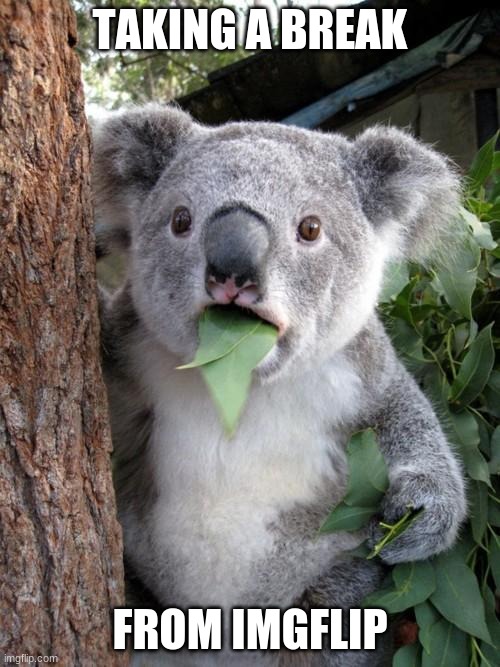 I'm taking a break from imgflip |  TAKING A BREAK; FROM IMGFLIP | image tagged in memes,surprised koala,i'll be back | made w/ Imgflip meme maker