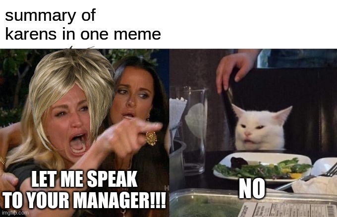 karens | summary of karens in one meme; NO; LET ME SPEAK TO YOUR MANAGER!!! | image tagged in memes,woman yelling at cat | made w/ Imgflip meme maker