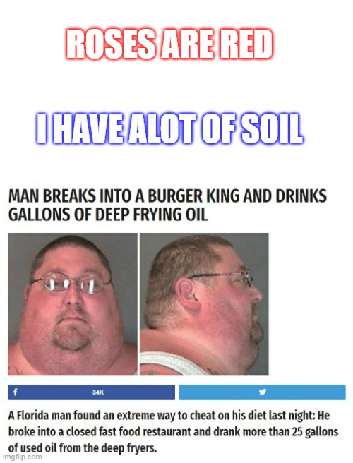 ROSES ARE RED; I HAVE ALOT OF SOIL | image tagged in blank white template,memes,funny | made w/ Imgflip meme maker