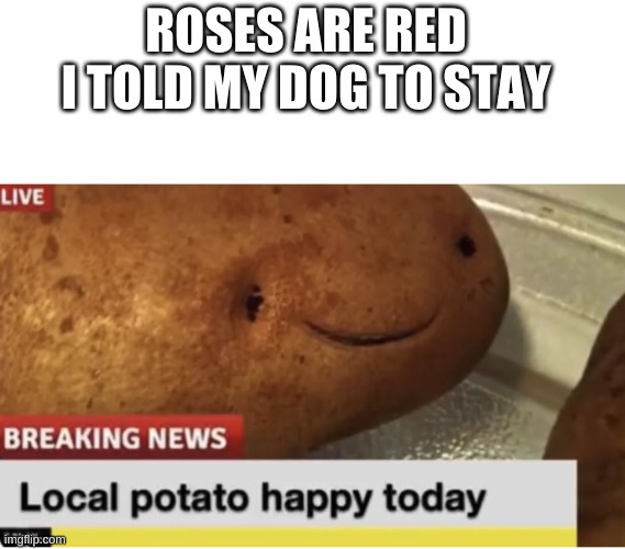 titles are hard | ROSES ARE RED 
I TOLD MY DOG TO STAY | image tagged in potato | made w/ Imgflip meme maker