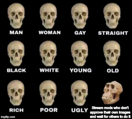 idiot skull | Stream mods who don't approve their own images and wait for others to do it | image tagged in idiot skull | made w/ Imgflip meme maker