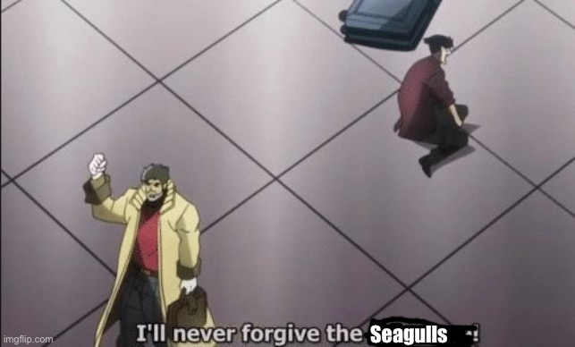 No context here | Seagulls | image tagged in i will never forgive japanese | made w/ Imgflip meme maker