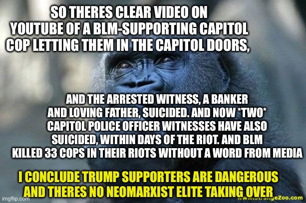 VETERAN COP TRAGEDY Officer Jeffrey Smith becomes second Capitol riot police officer to ‘kill himself’ days after responding | SO THERES CLEAR VIDEO ON YOUTUBE OF A BLM-SUPPORTING CAPITOL COP LETTING THEM IN THE CAPITOL DOORS, AND THE ARRESTED WITNESS, A BANKER AND LOVING FATHER, SUICIDED. AND NOW *TWO* CAPITOL POLICE OFFICER WITNESSES HAVE ALSO SUICIDED, WITHIN DAYS OF THE RIOT. AND BLM KILLED 33 COPS IN THEIR RIOTS WITHOUT A WORD FROM MEDIA; I CONCLUDE TRUMP SUPPORTERS ARE DANGEROUS AND THERES NO NEOMARXIST ELITE TAKING OVER | image tagged in deep thoughts | made w/ Imgflip meme maker