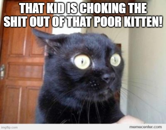 Scared Cat | THAT KID IS CHOKING THE SHIT OUT OF THAT POOR KITTEN! | image tagged in scared cat | made w/ Imgflip meme maker