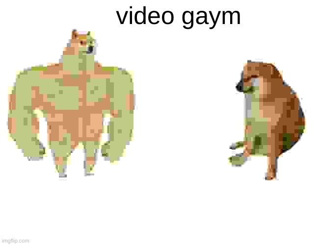 Buff Doge vs. Cheems | video gaym | image tagged in memes,buff doge vs cheems | made w/ Imgflip meme maker