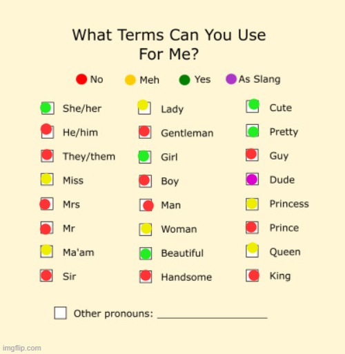 Pronouns Sheet | image tagged in pronouns sheet | made w/ Imgflip meme maker