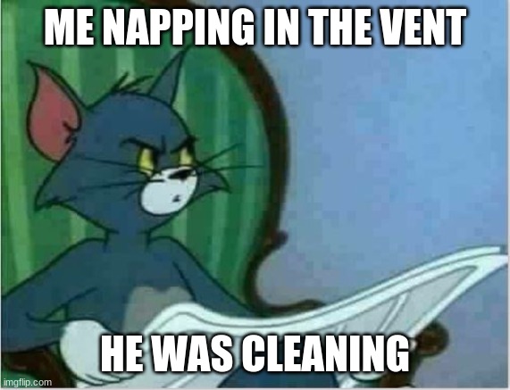 Interrupting Tom's Read | ME NAPPING IN THE VENT HE WAS CLEANING | image tagged in interrupting tom's read | made w/ Imgflip meme maker