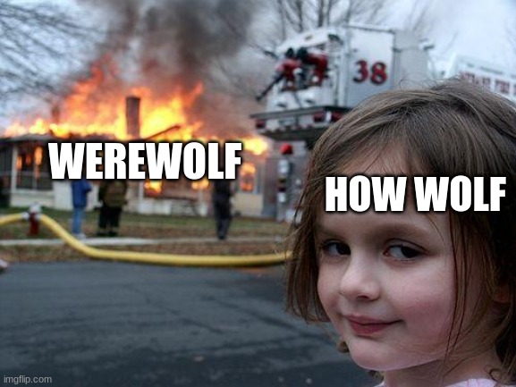 Disaster Girl Meme | HOW WOLF; WEREWOLF | image tagged in memes,disaster girl | made w/ Imgflip meme maker