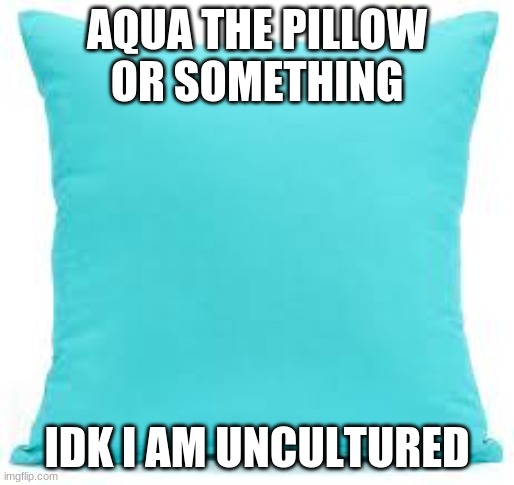 AQUA THE PILLOW OR SOMETHING; IDK I AM UNCULTURED | made w/ Imgflip meme maker