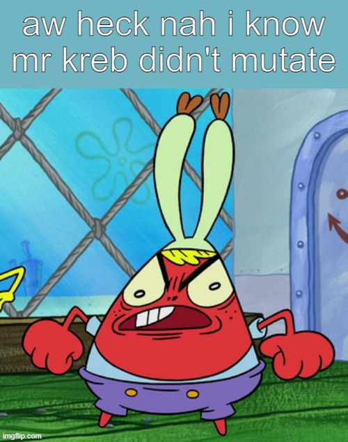  aw heck nah i know mr kreb didn't mutate | image tagged in spongebob | made w/ Imgflip meme maker