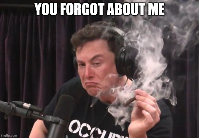 Elon Musk Smoking Weed | YOU FORGOT ABOUT ME | image tagged in elon musk smoking weed | made w/ Imgflip meme maker