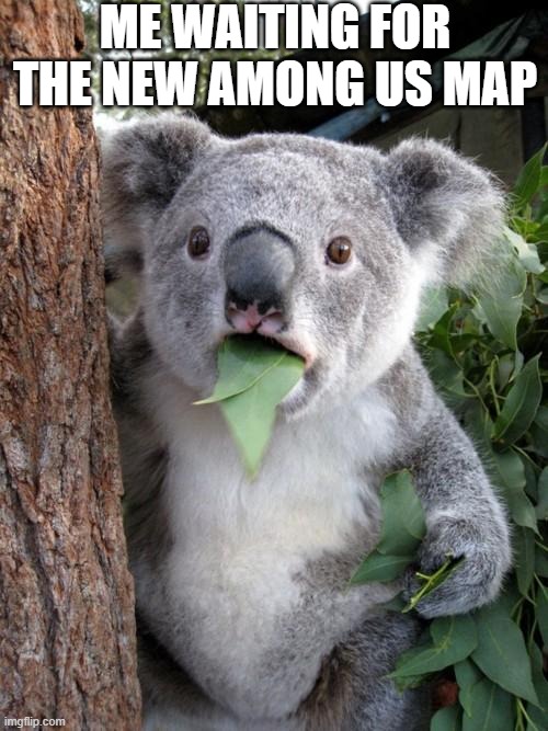 Surprised Koala | ME WAITING FOR THE NEW AMONG US MAP | image tagged in memes,surprised koala | made w/ Imgflip meme maker