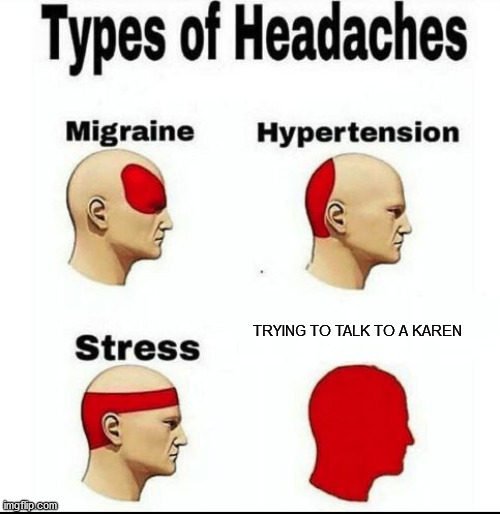 Types of Headaches meme | TRYING TO TALK TO A KAREN | image tagged in types of headaches meme | made w/ Imgflip meme maker