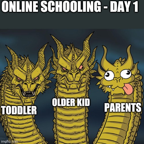 Online schooling day 1 | ONLINE SCHOOLING - DAY 1; PARENTS; OLDER KID; TODDLER | image tagged in three-headed dragon | made w/ Imgflip meme maker