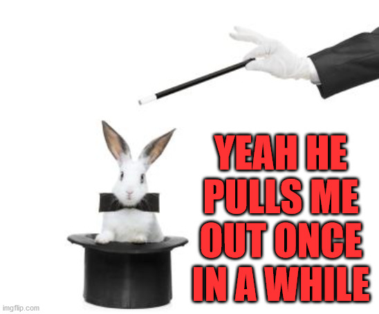 Rabbit Out Of A Hat | YEAH HE PULLS ME OUT ONCE IN A WHILE | image tagged in rabbit out of a hat | made w/ Imgflip meme maker