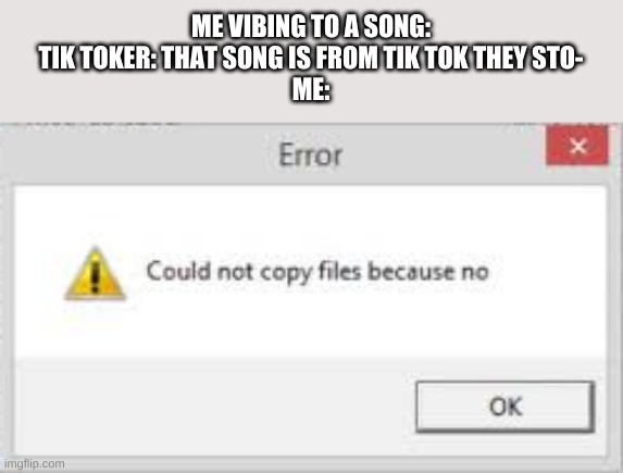 Just no | ME VIBING TO A SONG:

TIK TOKER: THAT SONG IS FROM TIK TOK THEY STO-

ME: | image tagged in could not copy files because no,tik tok sucks | made w/ Imgflip meme maker