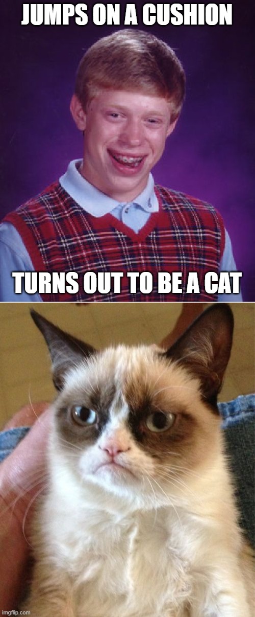 [*Cat Growling Intensifies*] | JUMPS ON A CUSHION; TURNS OUT TO BE A CAT | image tagged in memes,bad luck brian,grumpy cat | made w/ Imgflip meme maker