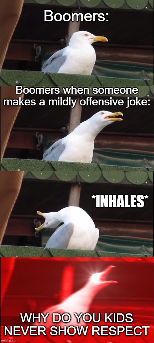 Inhaling Seagull Meme | Boomers:; Boomers when someone makes a mildly offensive joke:; *INHALES*; WHY DO YOU KIDS NEVER SHOW RESPECT | image tagged in memes,inhaling seagull | made w/ Imgflip meme maker