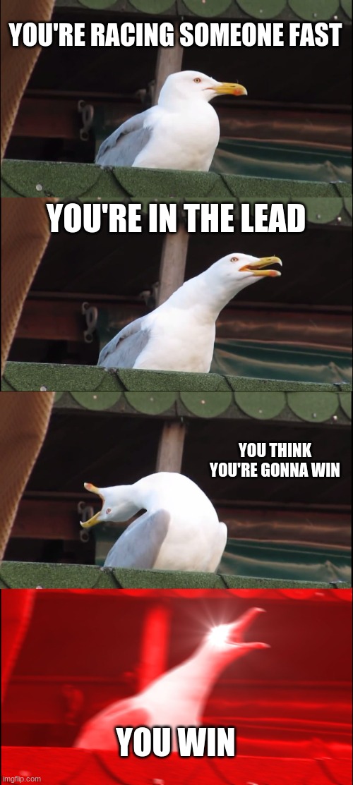 You won | YOU'RE RACING SOMEONE FAST; YOU'RE IN THE LEAD; YOU THINK YOU'RE GONNA WIN; YOU WIN | image tagged in memes,inhaling seagull,yeet,swimming | made w/ Imgflip meme maker