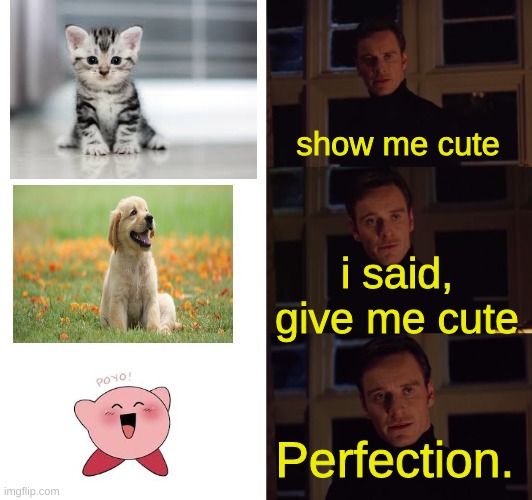 perfection | show me cute; i said, give me cute; Perfection. | image tagged in perfection,kirby,memes,funny memes | made w/ Imgflip meme maker