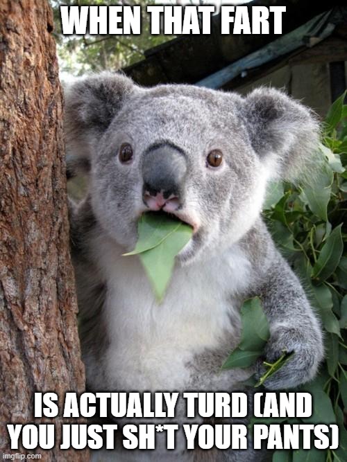 Surprised Koala Meme | WHEN THAT FART IS ACTUALLY TURD (AND YOU JUST SH*T YOUR PANTS) | image tagged in memes,surprised koala | made w/ Imgflip meme maker