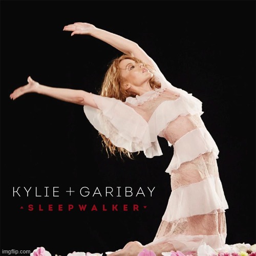 Kylie sleepwalker | image tagged in kylie sleepwalker | made w/ Imgflip meme maker