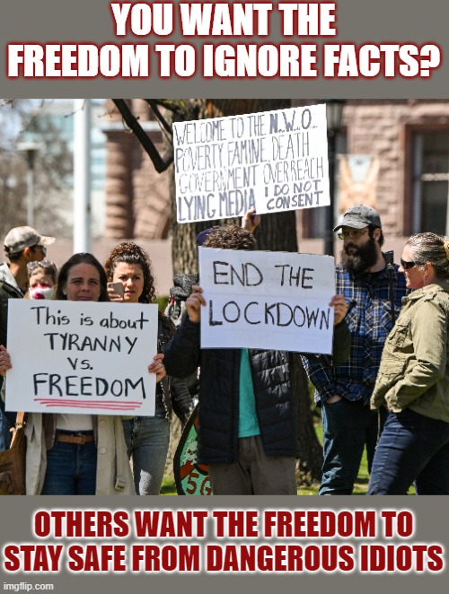 You want freedom? So do the people whose freedom you want to take away. | YOU WANT THE FREEDOM TO IGNORE FACTS? OTHERS WANT THE FREEDOM TO STAY SAFE FROM DANGEROUS IDIOTS | image tagged in freedom,protesters,covidiots | made w/ Imgflip meme maker
