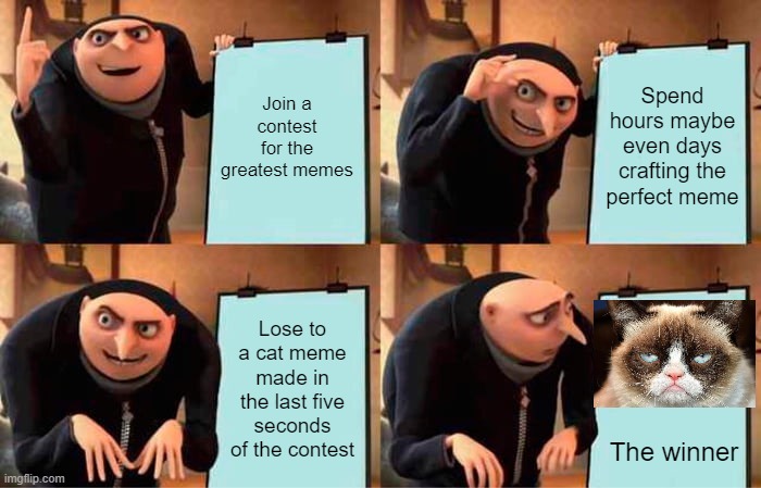 Gru's Plan | Join a contest for the greatest memes; Spend hours maybe even days crafting the perfect meme; Lose to a cat meme made in the last five seconds of the contest; The winner | image tagged in memes,gru's plan | made w/ Imgflip meme maker