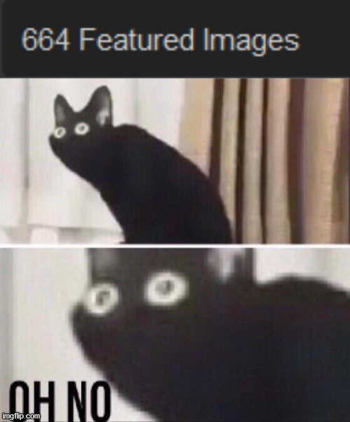 image tagged in oh no cat | made w/ Imgflip meme maker