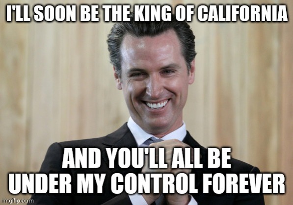 image tagged in gavin newsom | made w/ Imgflip meme maker