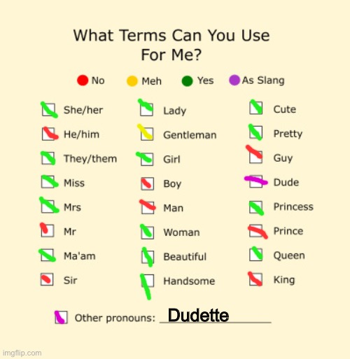 Pronouns Sheet | Dudette | image tagged in pronouns sheet | made w/ Imgflip meme maker