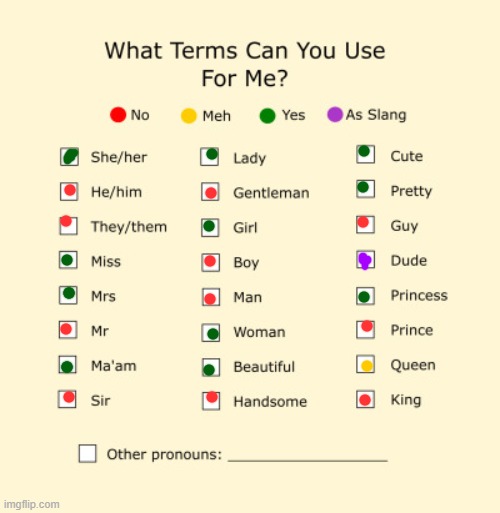 Pronouns Sheet | image tagged in pronouns sheet | made w/ Imgflip meme maker