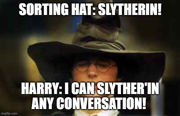 This'll make Harry feel better for Slyther'ing in Slytherin... | SORTING HAT: SLYTHERIN! HARRY: I CAN SLYTHER'IN ANY CONVERSATION! | image tagged in memes,harry potter sorting hat | made w/ Imgflip meme maker