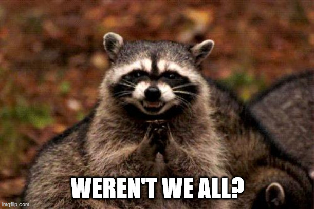 Evil Plotting Raccoon Meme | WEREN'T WE ALL? | image tagged in memes,evil plotting raccoon | made w/ Imgflip meme maker