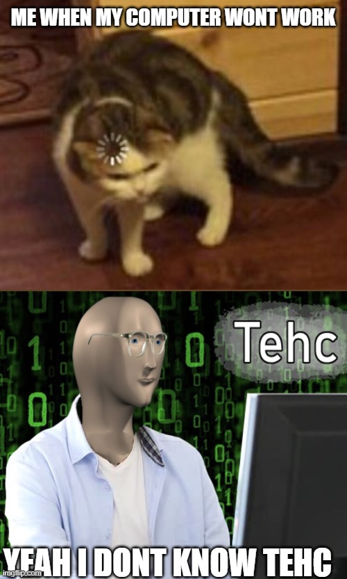 tehc and loading cat combo | ME WHEN MY COMPUTER WONT WORK; YEAH I DONT KNOW TEHC | image tagged in loading cat | made w/ Imgflip meme maker