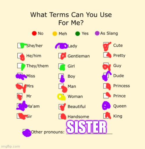 Pronouns Sheet | SISTER | image tagged in pronouns sheet | made w/ Imgflip meme maker