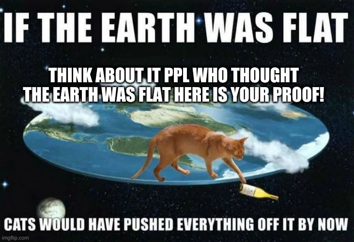 Definately | THINK ABOUT IT PPL WHO THOUGHT THE EARTH WAS FLAT HERE IS YOUR PROOF! | image tagged in cats,flat earth | made w/ Imgflip meme maker