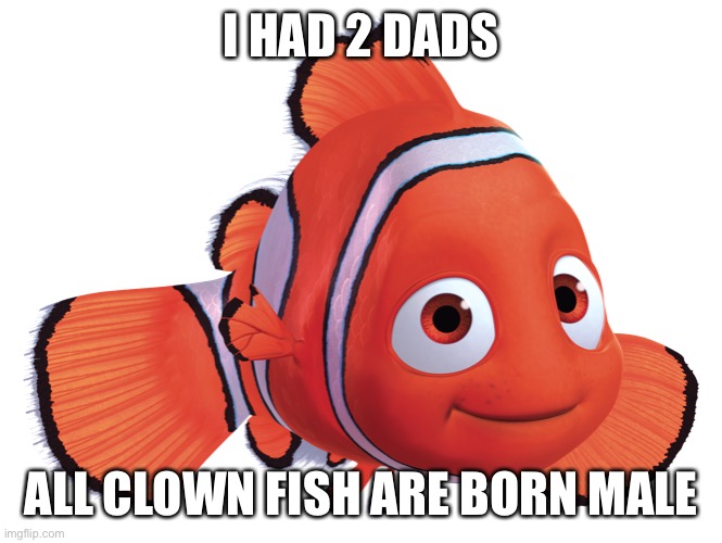 Time to ruin that great childhood of yours | I HAD 2 DADS; ALL CLOWN FISH ARE BORN MALE | image tagged in finding nemo | made w/ Imgflip meme maker