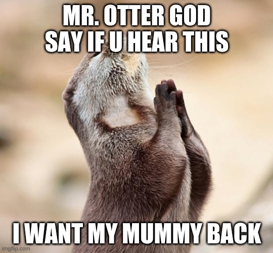 animal praying | MR. OTTER GOD SAY IF U HEAR THIS; I WANT MY MUMMY BACK | image tagged in animal praying | made w/ Imgflip meme maker