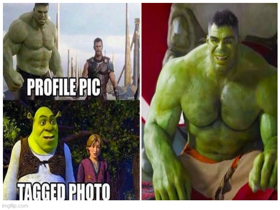 tru | image tagged in shrek | made w/ Imgflip meme maker